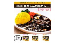 片岡の里春ちゃんの黒カレー　ファミリーセット【1450883】