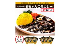 片岡の里春ちゃんの黒カレー　中辛満足セット【1466672】