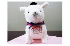 雪丸と暮らそう！ぬいぐるみ（大）