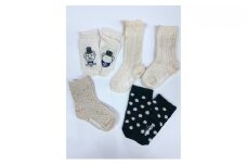 王寺子供靴下５足セット女児13-15cm