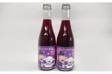 【数量限定】聖徳太子御遠忌特別スパークリングワイン375ml　2本セット