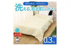 【春夏用】洗える羽毛肌掛け布団シングルダウン90％0.3㎏ダウンケット洗濯できる無地クリーム日本製
