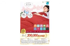 羽毛布団シングル掛け布団日本製ダウン90％1.0kg立体スクエアキルト8か所ループ付き無地レッド