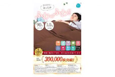 羽毛布団シングル掛け布団日本製ダウン90％1.0kg立体スクエアキルト8か所ループ付き無地ブラウン