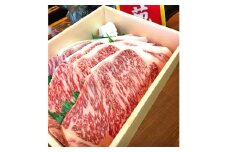 黒毛和牛サーロインステーキ500g（250g×2枚） /// 高品質 人気 ブランド牛 とろける 柔らかい 濃厚 サーロイン ステーキ ギフト 贈答 奈良県 広陵町
