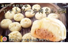 【香り】【食感】【味】レンジOK！全てそろった肉汁あふれるヤマトポーク肉まん6個入 /// 肉まん 豚まん 中華まん お肉 柔らかい ジューシー ヤマトポーク ブランド豚 中華料理 レンチン 電子レンジ 国産 人気 厳選 冷凍 ギフト 贈答 奈良県 広陵町