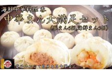 大容量で大満足！レンジOK！ヤマトポーク肉まんと海鮮中華まんの食べ比べセット（豚まん6 海鮮まん5） /// 肉まん 豚まん 海鮮まん 中華まん ヤマトポーク ブランド豚 中華料理 レンチン 電子レンジ 食べ比べ 簡単料理 奈良県 広陵町