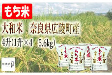 【令和6年度産】【11月下旬より順次発送予定】大和米　奈良県広陵町産　もち白米　4升(1升×4　5.6kg)/// ひのひかり ヒノヒカリ ブランド米 もち米 お餅 お正月 ご飯 お米 大和米 おにぎり おむすび 安心 安全 美味しい 人気 直送 奈良県 広陵町
