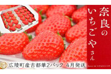 【数量限定】奈良のいちごやさん【古都華】270g×2パック 　4月発送///いちご イチゴ 古都華  旬 果物 フルーツ 農家 直送 甘い 完熟 季節 冬 奈良 奈良県