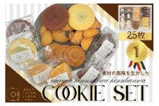 タルト屋さんが作るオリジナルクッキーセット（大サイズ） /// 焼菓子 焼き菓子 洋菓子 クッキー お菓子 スイーツ お茶菓子  人気  詰合せ ギフト プレゼント かわいい プチギフト 個包装 奈良県 広陵町