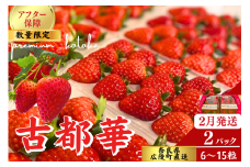 【数量限定】【先行予約】苺のごほうび【古都華】270g×2パック 　2025年2月発送 ///いちご イチゴ 古都華  旬 果物 フルーツ 農家 直送 甘い 完熟 季節 冬 奈良 奈良県