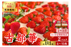【数量限定】【先行予約】【3か月定期便】苺のごほうび【古都華】270g×2パック  2025年1月開始///いちご イチゴ 古都華  旬 果物 フルーツ 農家 直送 甘い 完熟 季節 冬 奈良 奈良県