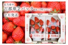 先行予約 奈良県ブランドイチゴ古都華2パック 2月発送  // /苺 いちご イチゴ 古都華 奈良 奈良県 広陵町 生産者直送 直送 厳選 数量限定 旬 フルーツ 甘い 完熟 果物