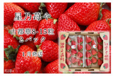 先行予約 奈良県ブランドイチゴ古都華2パック 2025年1月発送  // /苺 いちご イチゴ 古都華 奈良 奈良県 広陵町 生産者直送 直送 厳選 数量限定 旬 フルーツ 甘い 完熟 果物 星乃苺や