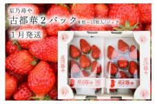 先行予約 奈良県ブランドイチゴ古都華2パック 2026年1月発送  // /苺 いちご イチゴ 古都華 奈良 奈良県 広陵町 生産者直送 直送 厳選 数量限定 旬 フルーツ 甘い 完熟 果物 星乃苺や