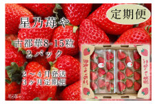 定期便 いちご 奈良県のいちご古都華2パック3ヶ月定期便 2025年2月発送開始 // /苺 いちご イチゴ 古都華 奈良 奈良県 広陵町 生産者直送 直送 厳選 数量限定 旬 フルーツ 甘い 完熟 果物 3ヶ月定期便