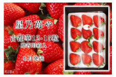 先行予約 奈良県ブランドイチゴ古都華1パック 2025年4月発送 オリジナル贈答用箱入り///苺 いちご イチゴ 古都華 奈良 奈良県 広陵町 生産者直送 直送 厳選 数量限定 旬 フルーツ 甘い 完熟 果物