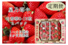 定期便 いちご 奈良県のいちご古都華2パック3ヶ月定期便 2025年1月発送開始 // /苺 いちご イチゴ 古都華 奈良 奈良県 広陵町 生産者直送 直送 厳選 数量限定 旬 フルーツ 甘い 完熟 果物 3ヶ月定期便