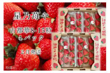 先行予約 奈良県ブランドイチゴ古都華4パック 2月発送  // /苺 いちご イチゴ 古都華 奈良 奈良県 広陵町 生産者直送 直送 厳選 数量限定 旬 フルーツ 甘い 完熟 果物