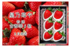 先行予約 特選大粒いちご 奈良県のいちご古都華1パック 2025年2月発送 // /苺 いちご イチゴ 古都華 奈良 奈良県 広陵町 生産者直送 直送 厳選 数量限定 旬 フルーツ 甘い 完熟 果物