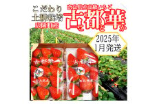 【2025年1月発送】こだわりの土耕栽培 奈良県産いちご【古都華】農家直送!2パック入り