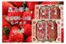 先行予約 奈良県ブランドイチゴ古都華4パック 5月発送  // /苺 いちご イチゴ 古都華 奈良 奈良県 広陵町 生産者直送 直送 厳選 数量限定 旬 フルーツ 甘い 完熟 果物