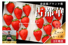 数量限定 先行予約 古都華 270g×2パック 2026年2月発送 /// いちご イチゴ 古都華 フルーツ 果物 旬 限定 ブランド 朝採り 完熟 いちご ことか イチゴ 先行予約 古都華 数量限定 古都華 甘い 先行受付 奈良いちご農園coto