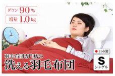 洗える羽毛布団 シングル 無地レッド ダウン90% 1.0kg 立体スクエアキルト 8か所ループ付き 洗濯可能 日本製 洗える布団 シングル布団 ふとん 布団 寝具 羽毛 布団 羽毛布団 寝具 掛け布団 掛布団 寝具 布団 ふとん 布団 寝具 ふとん 掛けふとん ふとん 布団 寝具 羽毛 布団 羽毛布団 寝具 羽毛ふとん 布団 羽毛布団 羽毛 洗える 羽毛布団