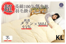 羽毛布団 キング 綿100% ダウン93% 2.0kg 超長綿60番手 生地使用 Dp380立体スクエアキルト 掛け布団 日本製 国産 キングサイズ 本掛け ホワイトダックダウン 寝具 抗菌防臭 防ダニ加工 羽毛掛けふとん 本掛け布団 羽毛ふとん 本掛け ふとん 布団 羽毛 ふとん 寝具 羽毛掛けふとん ふとん 布団 本掛け 掛け布団