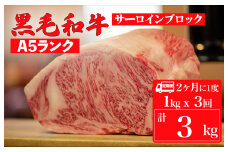 【定期便：2ヶ月に1度】黒毛和牛 A5ランク サーロイン ブロック 1kg×3回 計3kg (ステーキ用ソース付)  和牛 冷蔵 冷蔵便 ブロック肉 牛肉 ステーキ肉 サーロインステーキ 焼肉 BBQ 赤身 焼き肉 ブロック ３回 定期 
