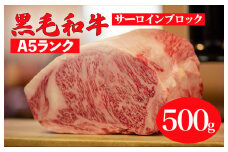 サーロイン ブロック 500g 黒毛和牛 A5 ステーキ用ソース付 サーロインステーキ さーろいん ステーキ ブロック肉 和牛 サーロイン 贈答 ギフト お中元 お中元ギフト