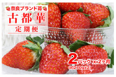 【2026年発送先行予約】【定期便 全２回】苺 古都華(ことか) いちご 奈良 270g x 2パック 計540g ２ヶ月連続 ブランドいちご かたおかの苺 いちご 苺 奈良ブランド苺 イチゴ ブランド 古都華 大粒 苺 旬 産地 直送 フレッシュ イチゴ フルーツ 果物 国産 ベリー 贈答用 プレゼント 人気苺 ふるさと納税苺 ふるさと苺 furusato苺 おすすめ苺