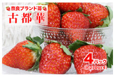 【2026年先行予約】いちご 古都華 ことか 古都華 270gx4パック 計1080g 苺 セット 高評価 フルーツ 果物 旬 産地直送 農家直送 完熟 旬のフルーツ 旬の果物 お取り寄せ おやつ デザート ことか イチゴ 苺 冷蔵 冷蔵配送 奈良