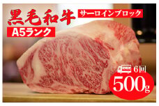【全6回定期便】黒毛和牛 A5ランク サーロイン ブロック 500g ステーキ用ソース付 サーロイン さーろいん ステーキ ブロック肉 和牛 サーロイン 贈答 ギフト お中元 お中元ギフト