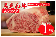 【全6回定期便】黒毛和牛 A5ランク サーロイン ブロック 1kg ステーキ用ソース付 サーロイン さーろいん ステーキ ブロック肉 和牛 サーロイン 贈答 ギフト お中元