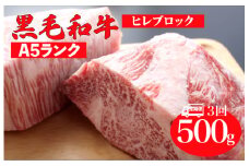 【全3回定期便】黒毛和牛 A5ランク ヒレ ブロック 500g ソース付 和牛 冷蔵 冷蔵便 ブロック肉 牛肉 ヒレ肉 ヒレステーキ フィレ 贈答 ギフト お中元