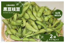 【2025年10月下旬出荷限定】幻の枝豆 大和の黒豆枝豆 1.6kg(800g×2袋) 数量限定 KAWAI BLACK 枝豆 奈良県 奈良 返礼品 えだまめ エダマメ 冷蔵 お取り寄せグルメ ご当地グルメ 豆 特産品 名産品 おつまみ 食品 河合町