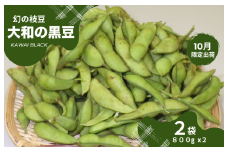 【2025年10月下旬出荷限定】幻の枝豆 大和の黒豆 KAWAI BLACK 1.6kg(800g×2袋) 数量限定 枝豆 奈良県 奈良 返礼品 えだまめ エダマメ 冷蔵 お取り寄せグルメ ご当地グルメ 豆 特産品 名産品 おつまみ 食品 河合町