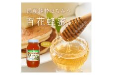 【先行予約】令和7年8月下旬より発送　日本蜜蜂ハチミツ450g  | はちみつ 吉野町 幻の蜂蜜 蜜 ハニー 健康 甘い