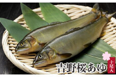 吉野桜あゆ（新鮮抜群！活〆鮎）10尾入
