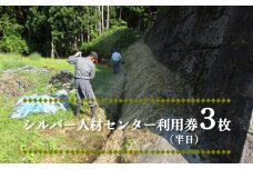 シルバー人材センター利用券3枚（半日）
