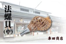 法螺貝（中）《車田商店》