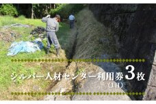 シルバー人材センター利用券3枚（1日）