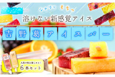吉野葛アイスバー　6本入り | くずバー 葛バー 冷凍 スイーツ お菓子 アイスバー 溶けないアイス