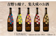 自然淘汰 natural selection DNA 5種セット｜日本酒 酒蔵 限定品 のみくらべ