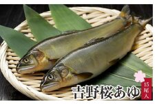 吉野桜あゆ（新鮮抜群！活〆鮎）15尾入