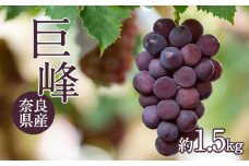 巨峰1.5Kg
