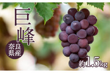 巨峰1.5Kg