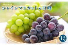 シャインマスカット ＆ 巨峰 約1kg 各1房（計2房）