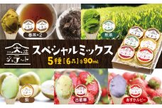 C3 大淀ジェラート スペシャルミックス 6個入 大淀の地から旨味を込めて!自然の恵みいっぱい【大淀ジェラート】 | 大淀の地から旨味を込めて! 自然の恵みいっぱい ジェラート スイーツ フルーツ アイス アイスクリーム 煎茶 番茶 茶 梨 古都華 あすかルビー いちご 苺  道の駅 プレゼント グルメ 奈良県 大淀町
